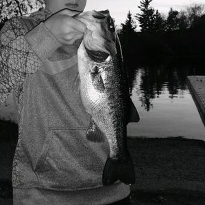 Meet your Posher, Collin